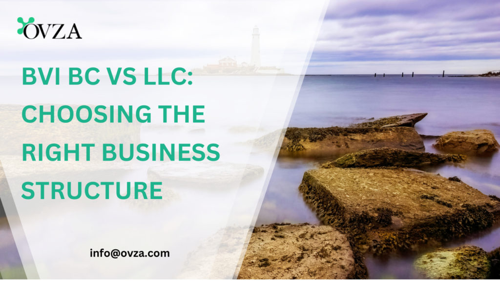 BVI Business Company vs LLC Which Business Structure is Right for You.