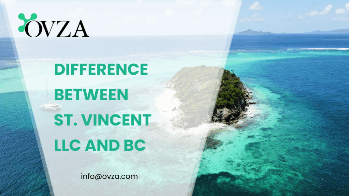 Difference Between St. Vincent LLC and BC