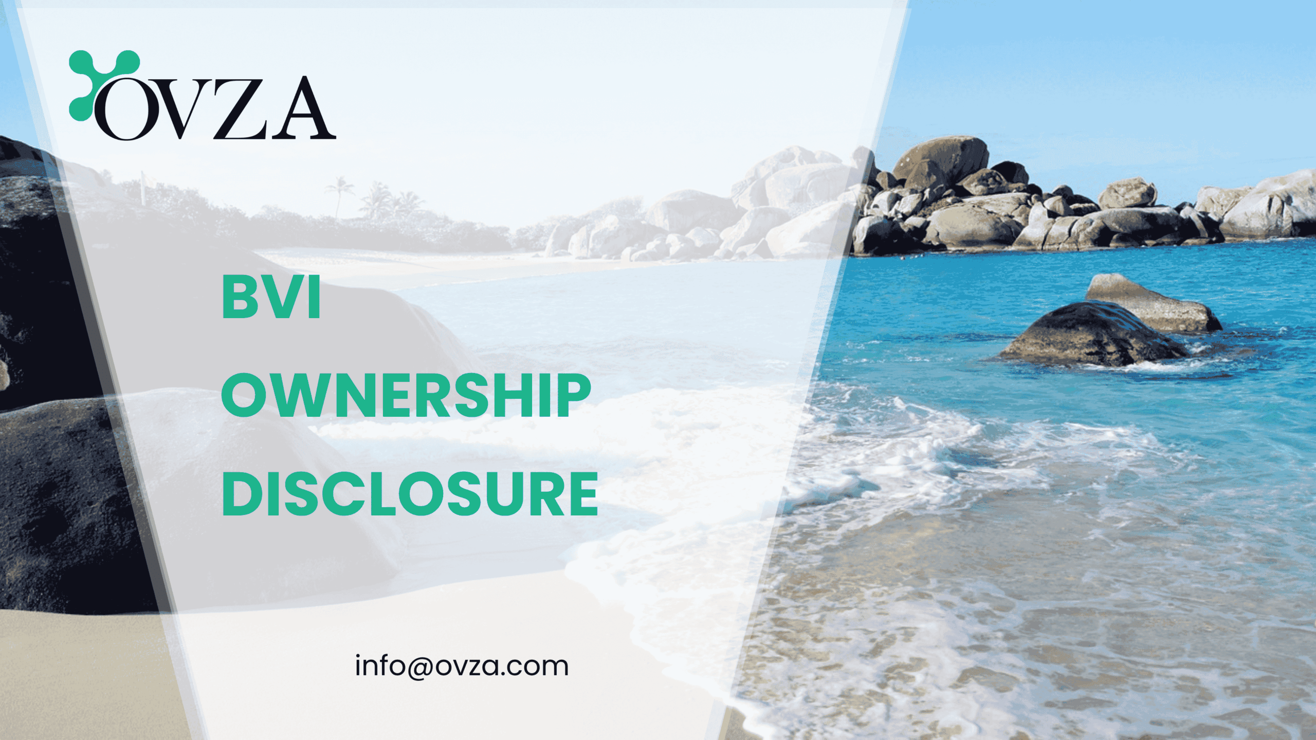 BVI Ownership Disclosure